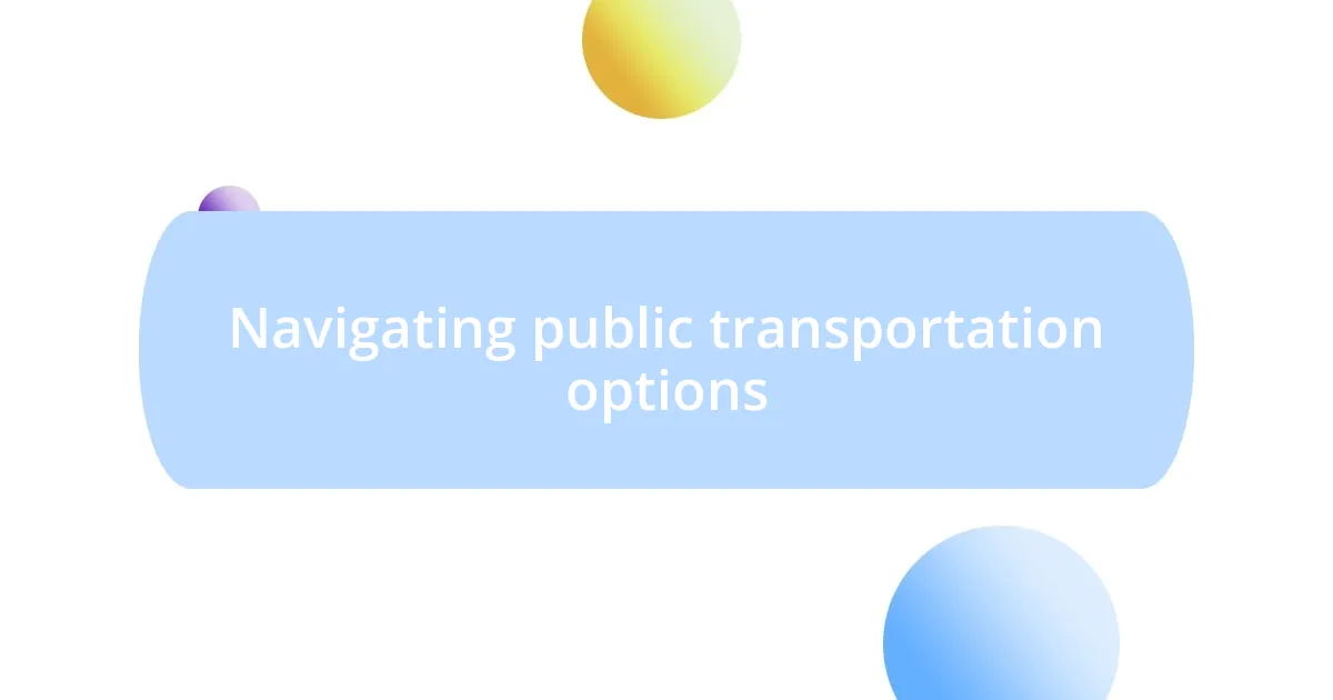 Navigating public transportation options